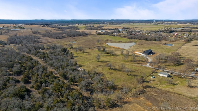 view of bird's eye view