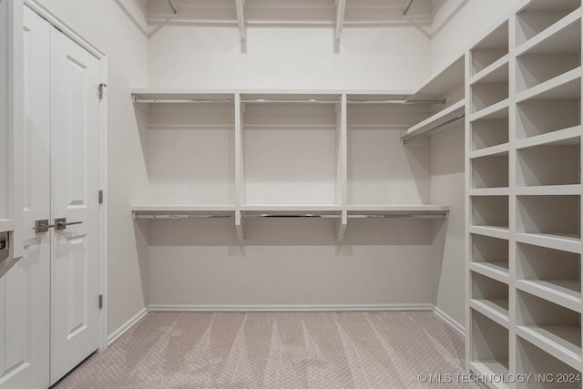 spacious closet with light carpet