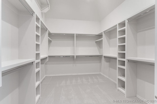 spacious closet with carpet flooring