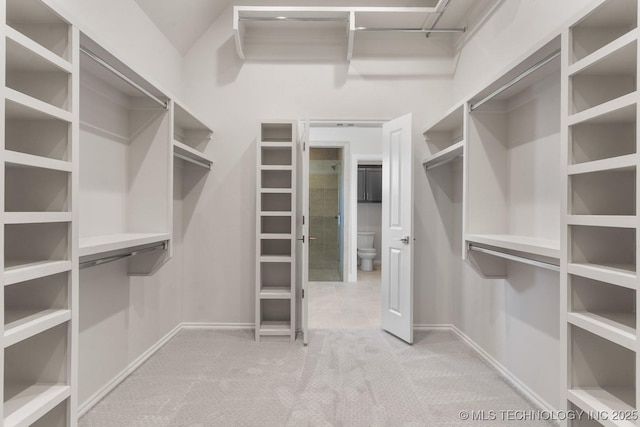 walk in closet with light carpet