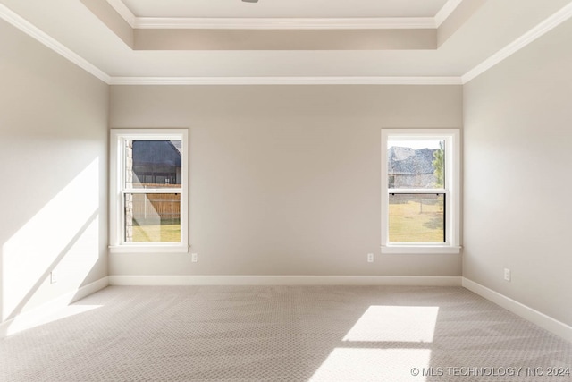 carpeted spare room featuring ornamental molding and a tray ceiling