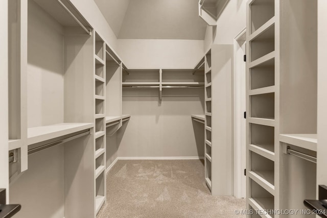 spacious closet with light colored carpet