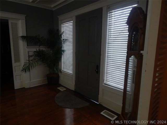 foyer entrance with crown molding, dark hardwood / wood-style flooring, and plenty of natural light