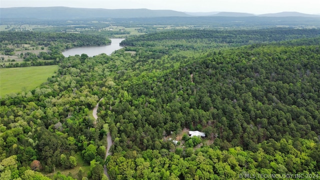 bird's eye view with a mountain view