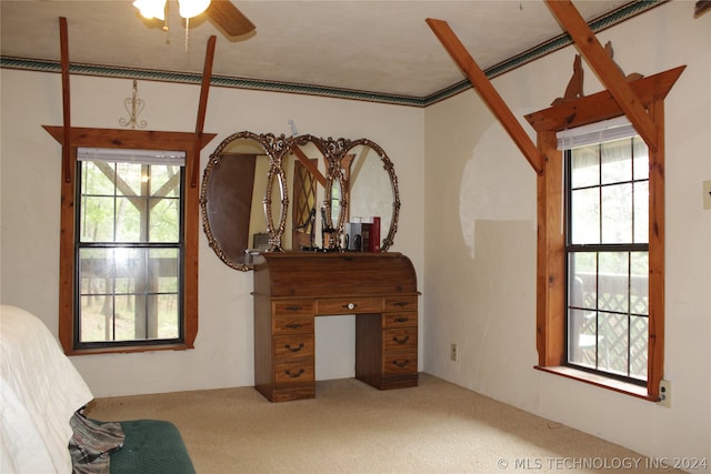 interior space with carpet flooring and multiple windows