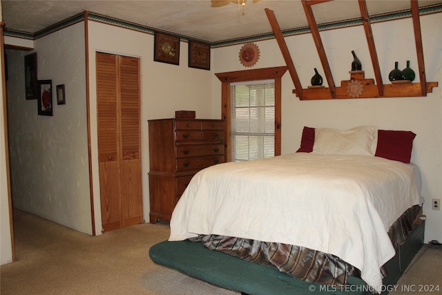 bedroom with a closet and carpet floors