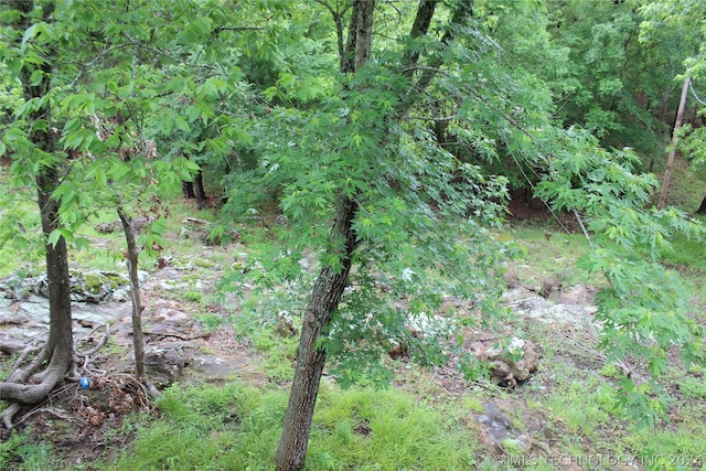 view of local wilderness with a water view