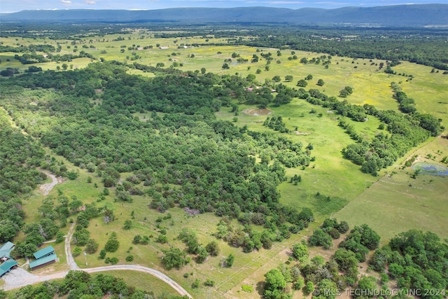 birds eye view of property featuring a mountain view