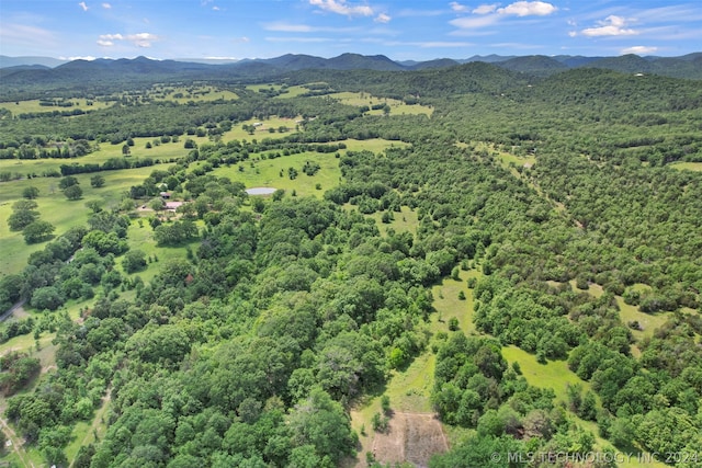 drone / aerial view featuring a mountain view