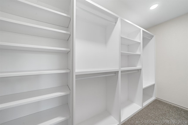 spacious closet with carpet floors