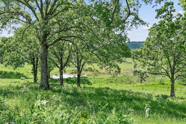 view of nature with a water view