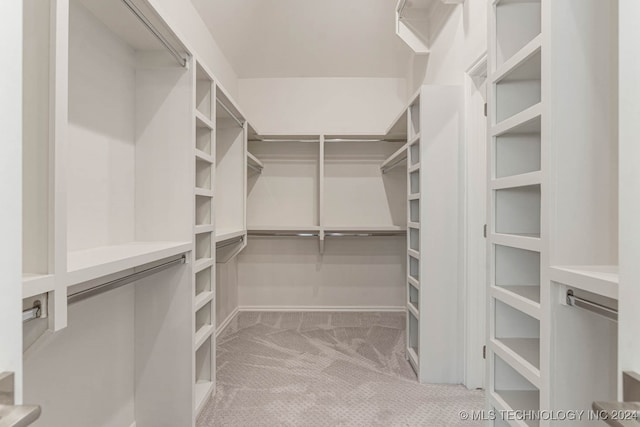 spacious closet featuring light carpet