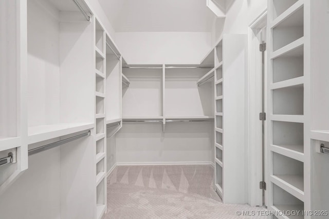 walk in closet featuring light carpet