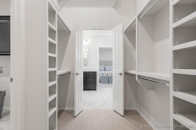 spacious closet featuring carpet floors