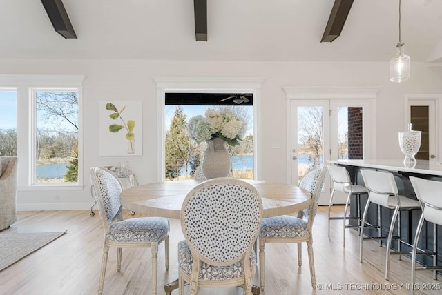 dining room featuring a healthy amount of sunlight and light hardwood / wood-style flooring