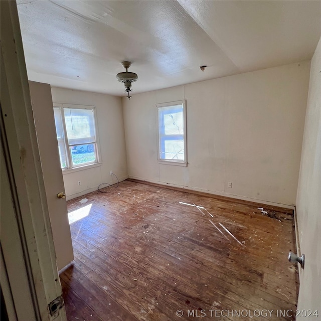 empty room with a wealth of natural light and wood-type flooring