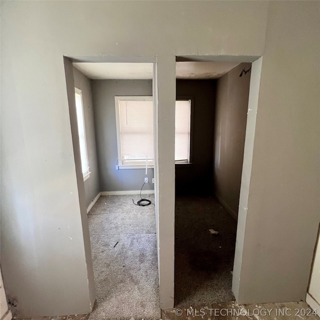 hallway with carpet flooring