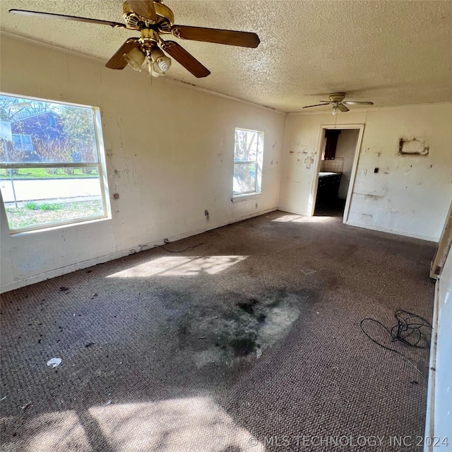 spare room with a wealth of natural light, carpet flooring, and ceiling fan