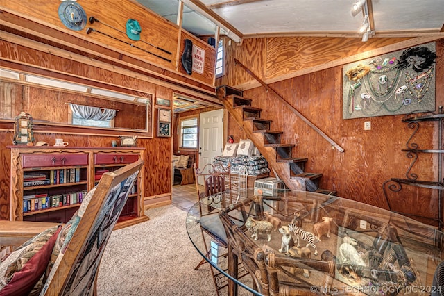 interior space with wood walls and track lighting