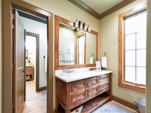 bathroom with hardwood / wood-style flooring, vanity, and crown molding