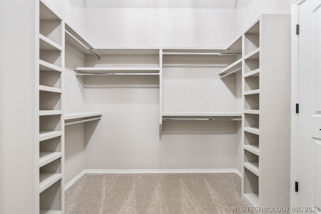 spacious closet featuring carpet