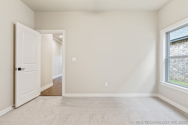 spare room featuring carpet flooring