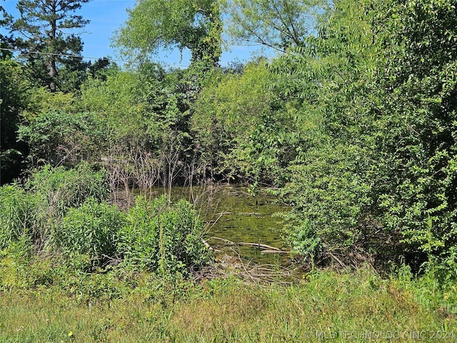 view of local wilderness