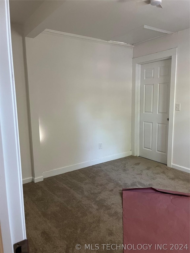 unfurnished room with carpet and ornamental molding