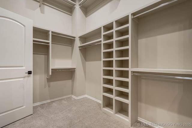 spacious closet with carpet floors