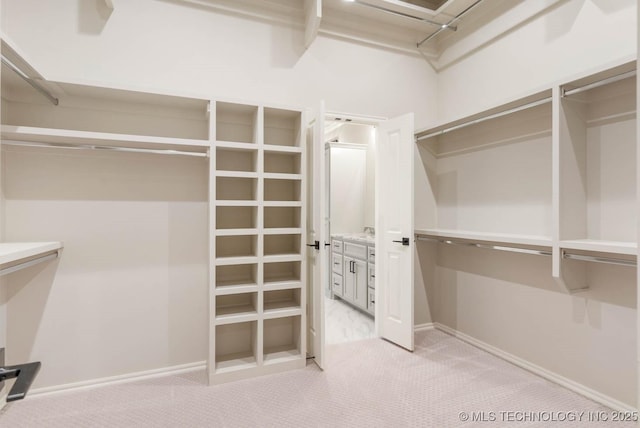 walk in closet with light carpet