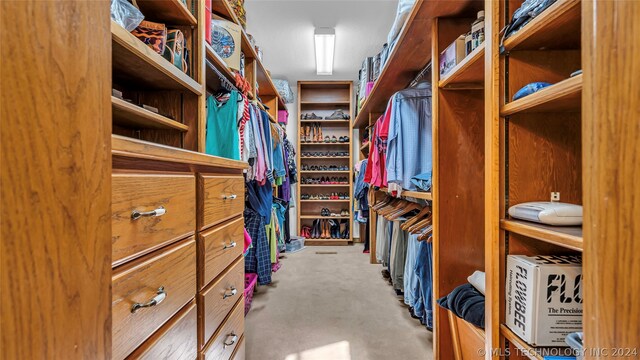 view of walk in closet