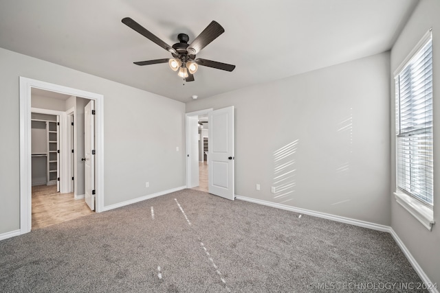 unfurnished bedroom featuring multiple windows, ceiling fan, carpet floors, and a walk in closet