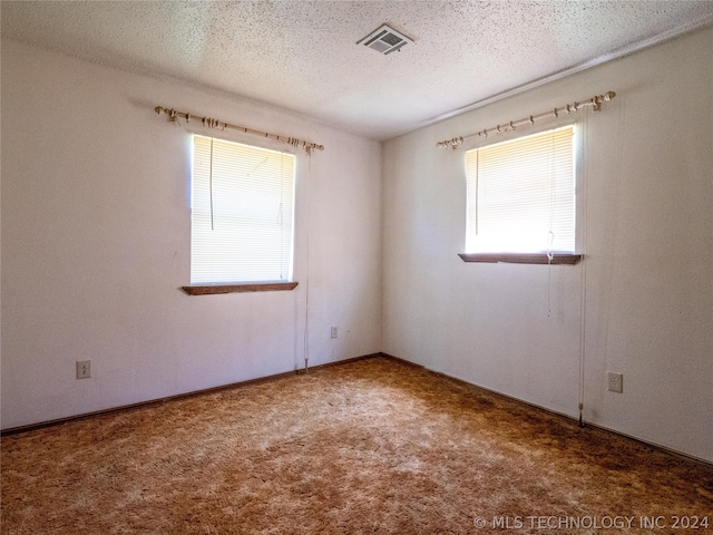 unfurnished room featuring a textured ceiling, plenty of natural light, and carpet