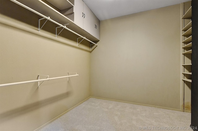 spacious closet with carpet floors