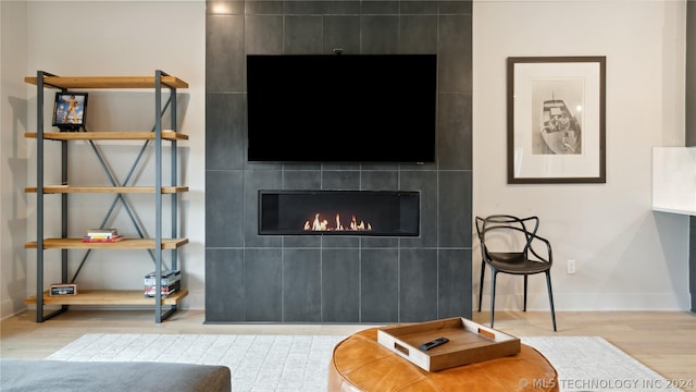 living room featuring a fireplace and light hardwood / wood-style floors