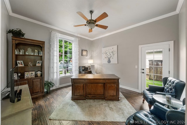 office area featuring ceiling fan, ornamental molding, and dark hardwood / wood-style flooring