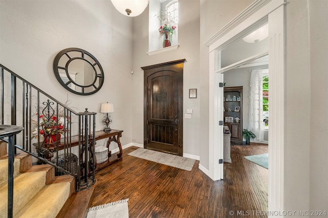 entrance foyer featuring dark wood-type flooring