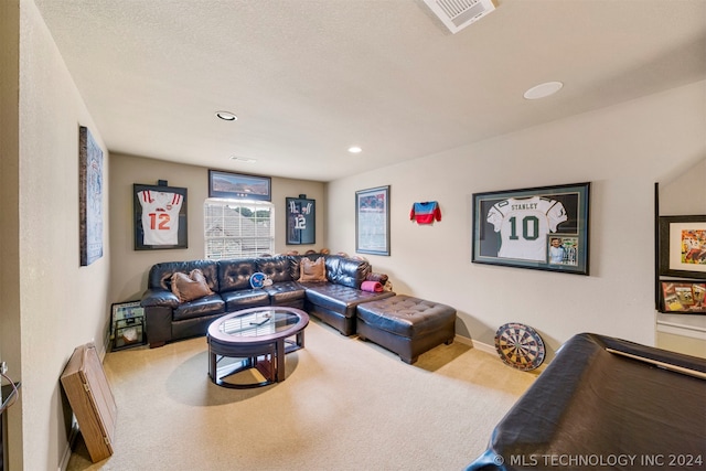 carpeted living room with a textured ceiling