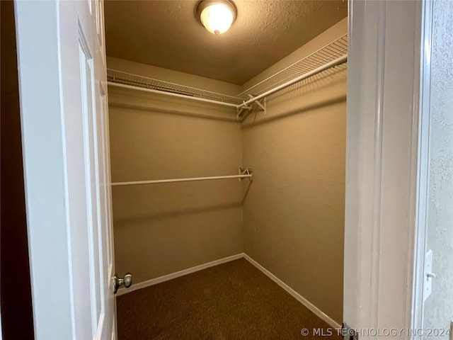 spacious closet with carpet floors