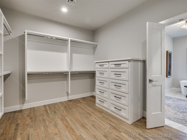 spacious closet featuring light hardwood / wood-style flooring