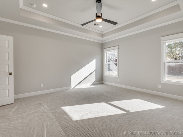 carpeted empty room with a raised ceiling, a wealth of natural light, ceiling fan, and ornamental molding