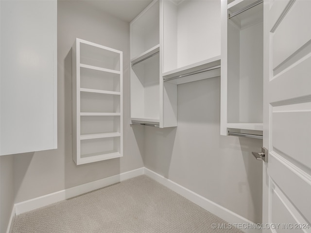 spacious closet featuring light colored carpet