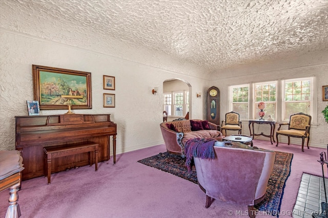 living room with carpet and a textured ceiling