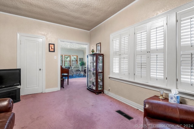 sitting room featuring ornamental molding, carpet floors, and a textured ceiling