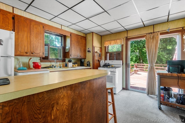 kitchen featuring light colored carpet, a paneled ceiling, plenty of natural light, and white appliances