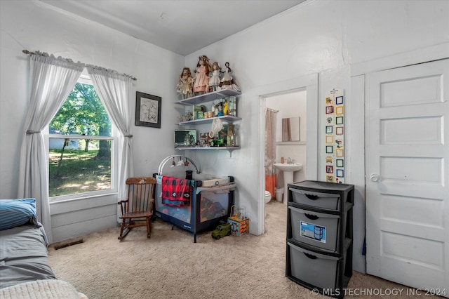 bedroom featuring sink, carpet flooring, and connected bathroom