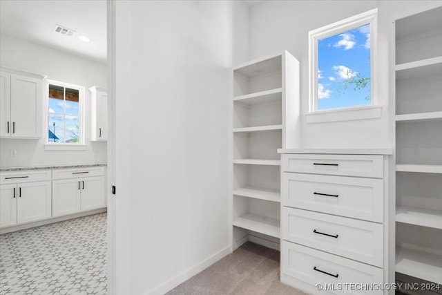 view of spacious closet