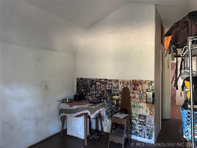 miscellaneous room with vaulted ceiling