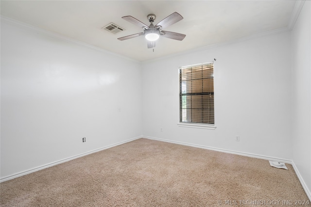 spare room with ceiling fan, carpet floors, and ornamental molding