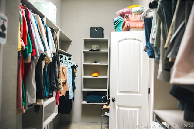 view of spacious closet